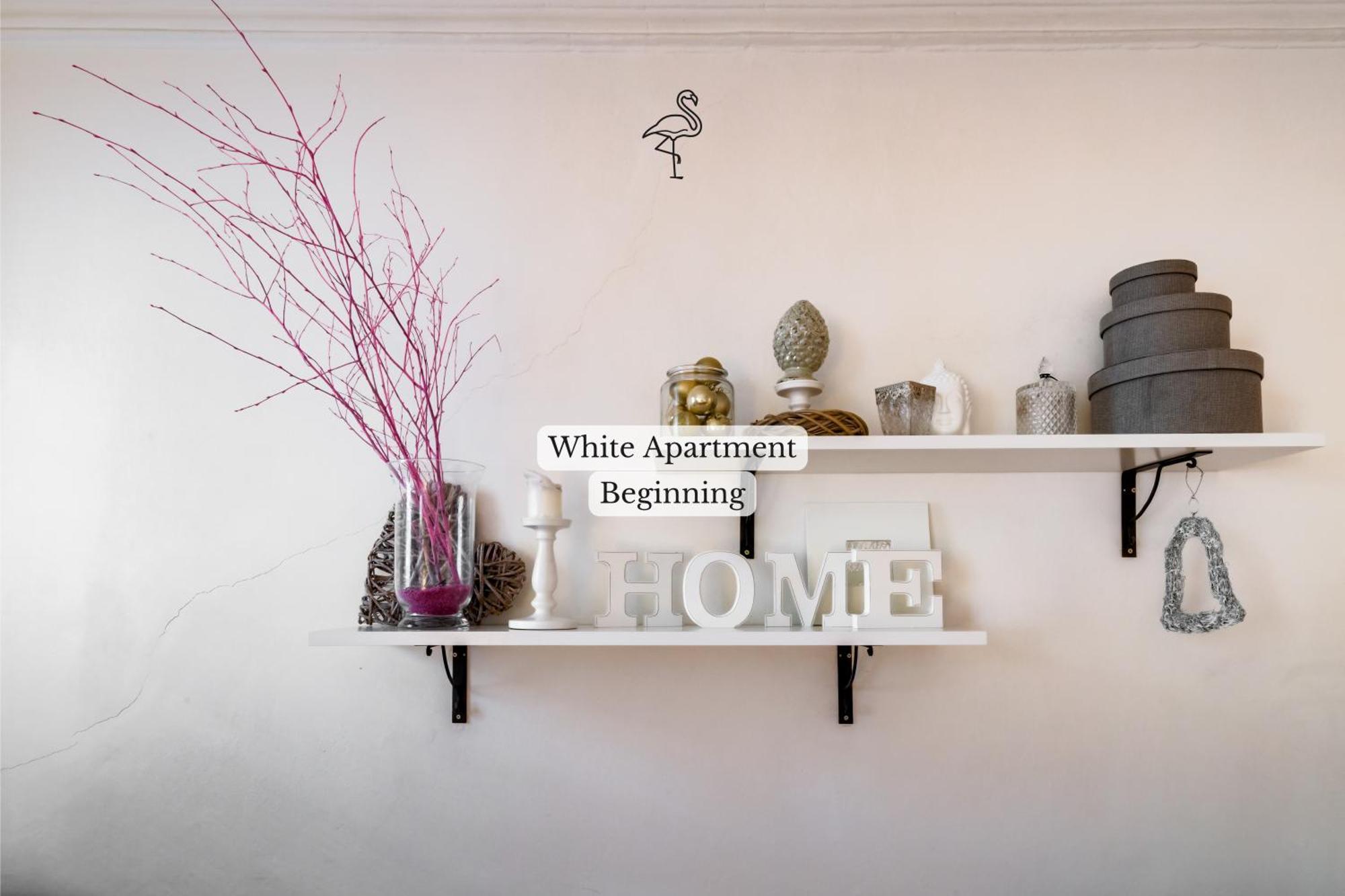 Curiosity Apartments 布拉格 外观 照片